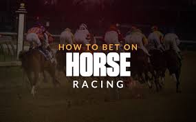 Online Horse Racing Bets